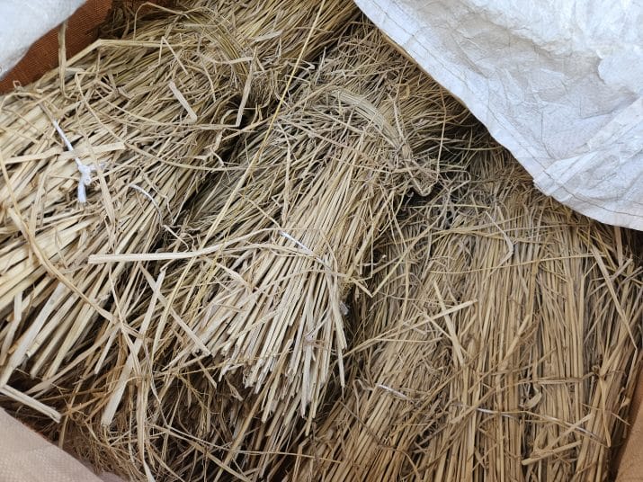 逗子市　土壁塗りワークショップ